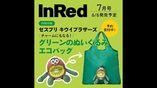 ゼスプリファン歓喜🍃キウイブラザーズがぬいぐるみエコバッグに