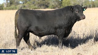 LOT 76 - ANGUS - JK CATTLE CO UNENCUMBERED U722