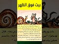 بيت فوق الظهر حوار الفأر و الحلزون قصص و حكم أقوال راقية حكمة اليوم الحلزون الفأر حكم قصة 