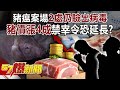 豬瘟疫情影響
