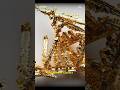 Why Bitcoin is better than Gold! | Jayasim Jayakumar | #shorts