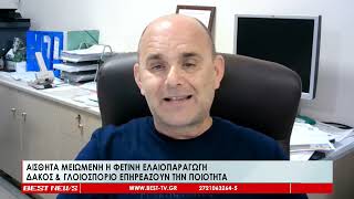 Αισθητά μειωμένη η φετινή ελαιοπαραγωγή | Δάκος και γλοιοσπόριο επηρεάζουν την ποιότητα