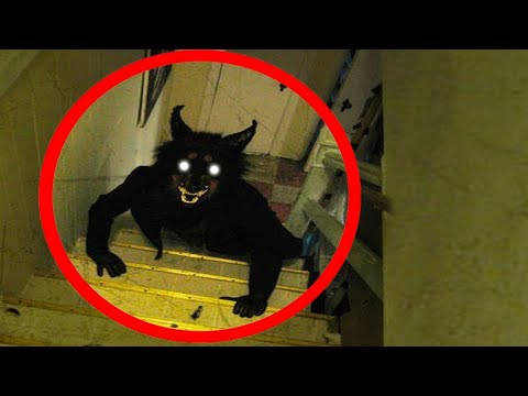 दुनिया के ऐसे डरावने जानवर जिसे देखकर आपके भी पसीने छूट जायेंगे | Most Scary Animals #Animals #Snake