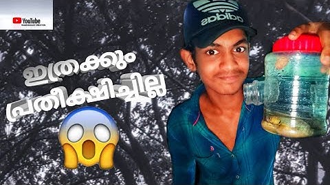 How to Make a Fish Trap With Plastic Bottle/ Easy Making  Malayalam/Ramshaduzz Creation
