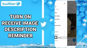 How To Turn On Receive Image Description Reminder On Twitter App