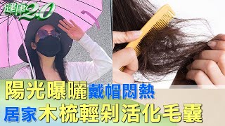 陽光曝曬戴帽悶熱 居家木梳輕剁活化毛囊 健康2.0@tvbshealth20