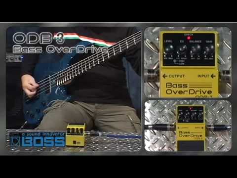 ODB-3 Bass OverDrive [BOSS Sound Check]