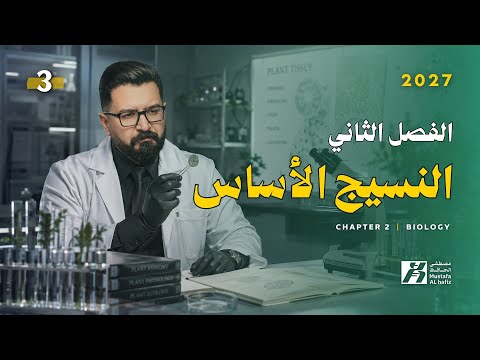 الفصل الثاني | محاضرة 3