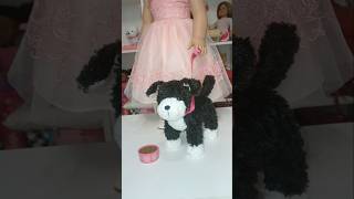 Kavi Is Going On A Walk With Her Dog.