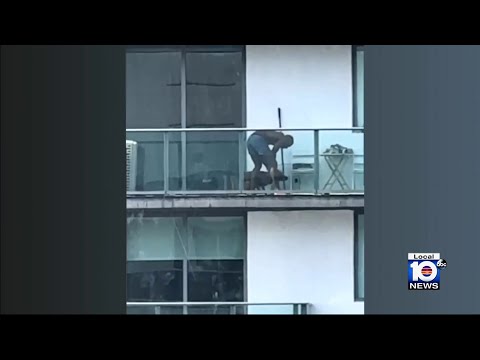 No charges filed after video shows man appearing to abuse dog on Miami ...