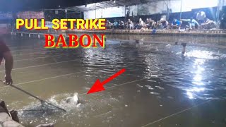 Soft Mancing Ikan Mas,Pake Umpan Putih,Pull Setrike Babon,Pemancingan Galapung screenshot 4