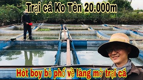 Tham quan trại cá cảnh Ko Tên 20.000m càng ngắm càng mê-Thái Salem vê lốc