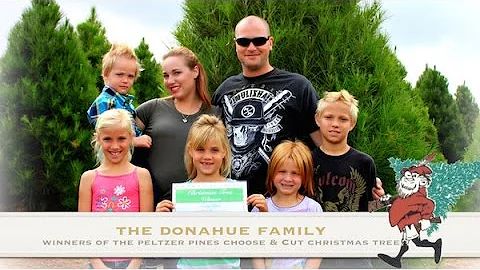 Cut Your Own Christmas Tree This Holiday Season