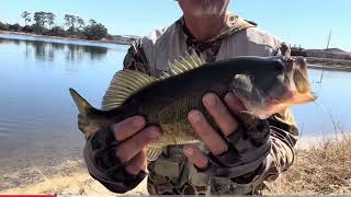 Watermelon bait catches fish every cast 👍 #fishing #baittips