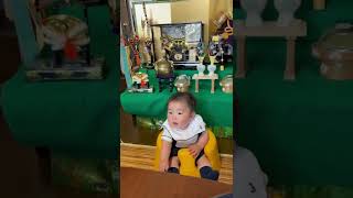 【187日目】初節句 #赤ちゃん#初節句#兜#6ヶ月#GW