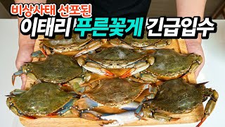 I brought some Italian blue crabs that were said to be too numerous to dispose of!