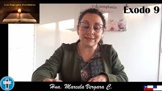 N° 345. Programa La Última Llamada 