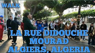 Algiers Walk La Rue Didouche Mourad