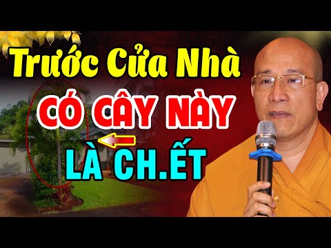 Video: Danh sách việc cần làm trong tháng 7: Duy trì các khu vườn mùa hè ở Tây Nam