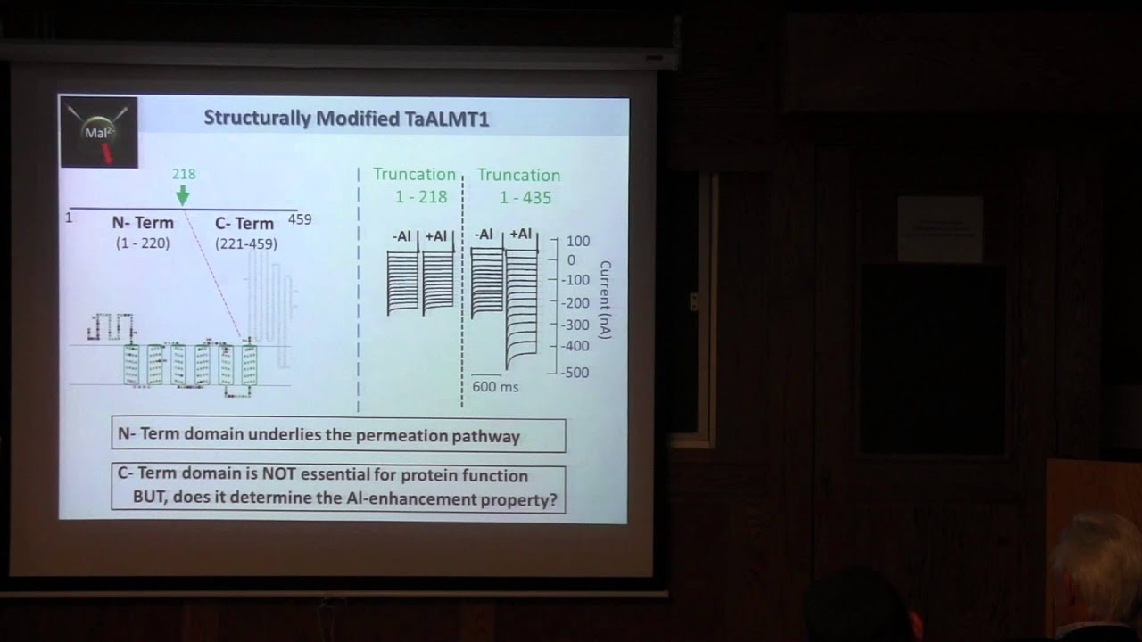 Function, structure and regulation of membrane transporters involved in abiotic stress