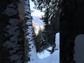 piccoli scorci dal parco nazionale dello stelvio