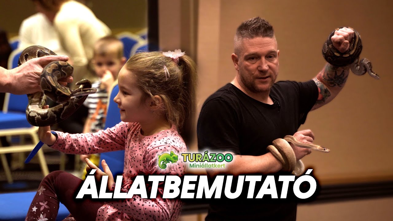 ÁLLATBEMUTATÓ AZ AQUATICUMBAN :)