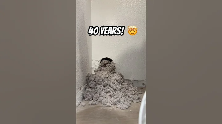 First Cleaning Since 1984! 40 Years of Lint 🤯 #oddlysatisfying #dryerventcleaning #cleantok
