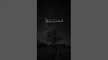 حالات واتس آب قرآن | وَنَزَعْنَا مَا فِي صُدُورِهِم مِّنْ غِلٍّ | سورة الأعراف