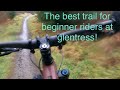 Best trail for beginners riders!  Blue velvet glentress! 