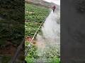 Revolutionary Multi-Nozzle Farming Tool: The Secret to 10x Efficiency!