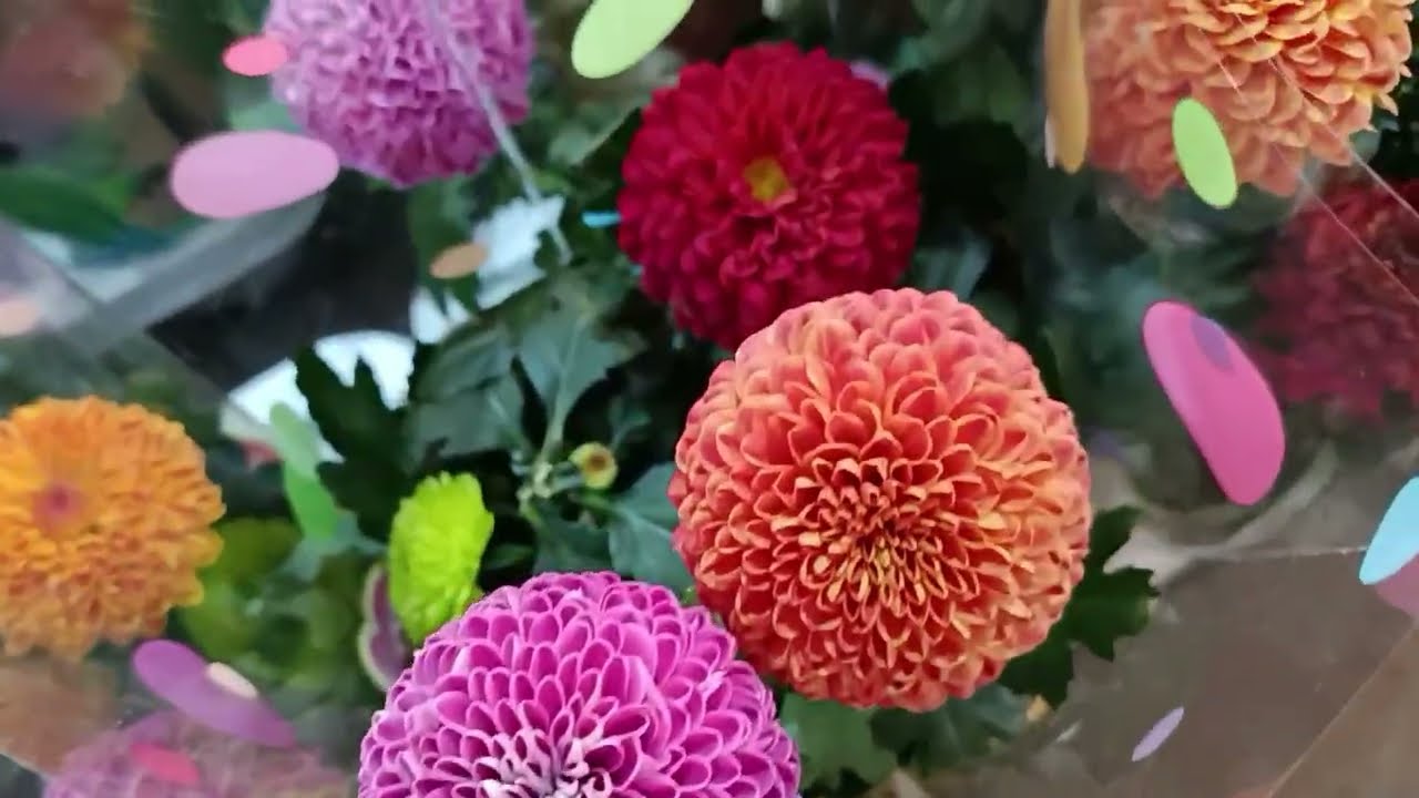 BUGÜNDE ÇİÇEK SERASI GEZELİM 🌷🌹🌷🌹🌷🌹🌷🌹💯⭐⭐⭐⭐⭐