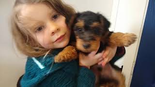 Celebrity Willow-Oakley 2/24/20 5.5 weeks old Net Worth