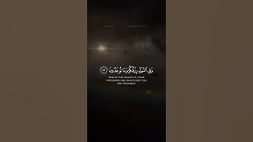 سورة غافر اية 14 | متابعه من فضلك 🤍