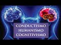 CONDUCTISMO, HUMANISMO Y COGNITIVISMO. MICROHISTORIA DE LA PSICOLOGÍA (3/3)  | PsicoDav @Valdahla