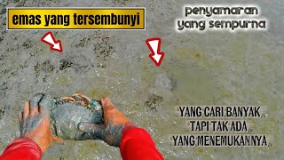 REZEKI EMAS DIBALIK LUMPUR! 😱 Seafood Mahal Tersembunyi di balik lumpur Kolam Tambak! 😍