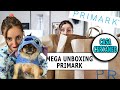 MEGA  PRIMARK HAUL: per vere STITCH LOVERS!