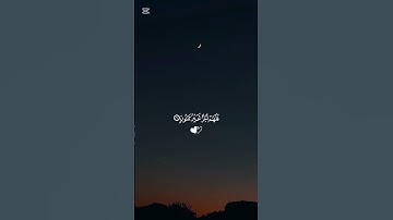 سورة التين🤍