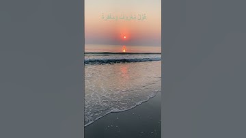 "لحظة خشوع مع آية تهز القلب 💔📖"#القرآن #تلاوة_مؤثرة #راحة_القلب #قرآن_كريم #نور_القرآن