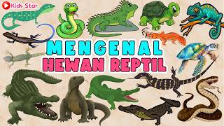 BELAJAR MENGENAL NAMA NAMA REPTIL BAHASA INDONESIA &amp; BAHASA INGGRIS | LEARN NAMES OF REPTILE ANIMALS