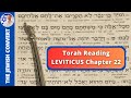 Torah Reading | Leviticus Chapter 22 in Hebrew with English Translation