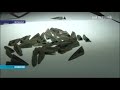 Речі скіфської доби яким дві тисячі років виставили у Черкаському краєзнавчому музеї 