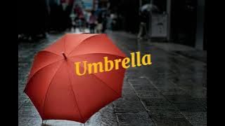 Umbrella - Rihanna (Acoustic Version) - Landon Austin and Lauryn Evans Cover