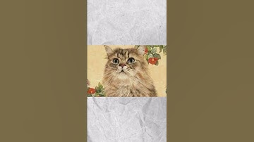 3 con giáp đổi vận tài lộc tháng 10 âm lịch #shorts