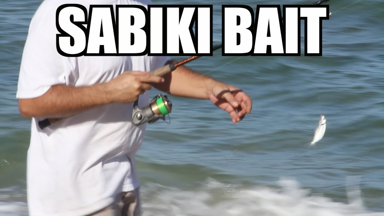 Sabiki Bait Fishing 2013 Mullet Run