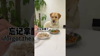 肉肉说了算🐶：我走过最多的路就是铲屎官的套路，这次终于轮到他吃瘪了 by 肉肉說了算 119,839 views 5 months ago 1 minute, 5 seconds