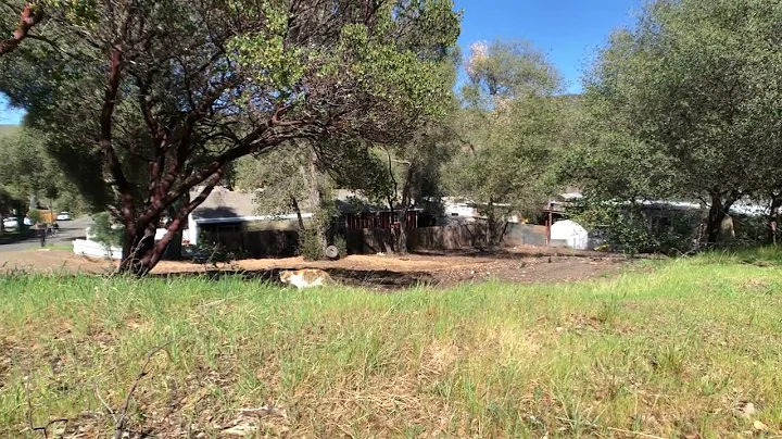 kitty 3112 11th st, Clearlake, CA - for sale $39,999 Write me an offer before April 2022