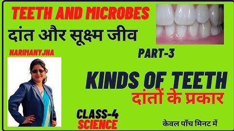 Teeth and Microbes||Part-3|| Kinds of teeth || CLass-4 || Chapter-2|| Science ||CBSE Based..
