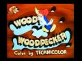 Woody Woodpecker Intro/ Вуди Вудпекер заставка "Угадай Кто?"