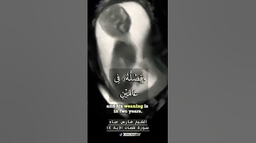 ووصينا الإنسان بوالديه سورة لقمان الآية ١٤ الشيخ فارس عباد