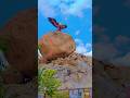 lepakshi temple jatayu park my family trip #viralvideo #youtubeshort